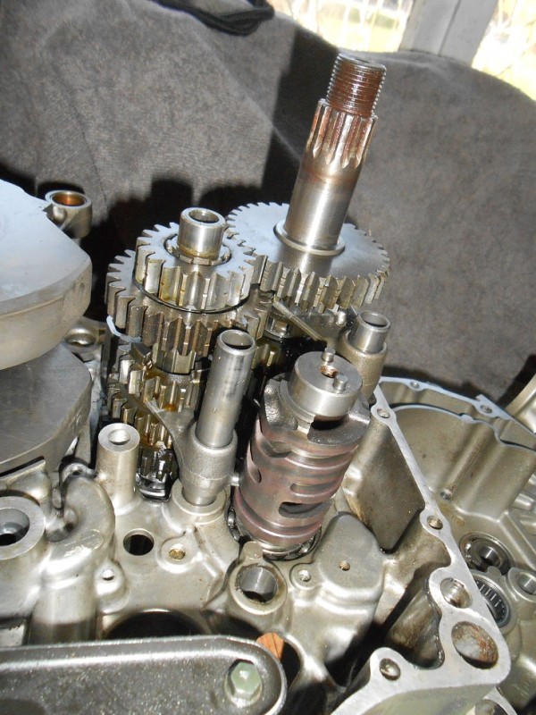 DSCN4920.JPG