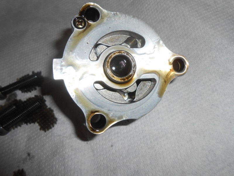 DSCN5065.JPG