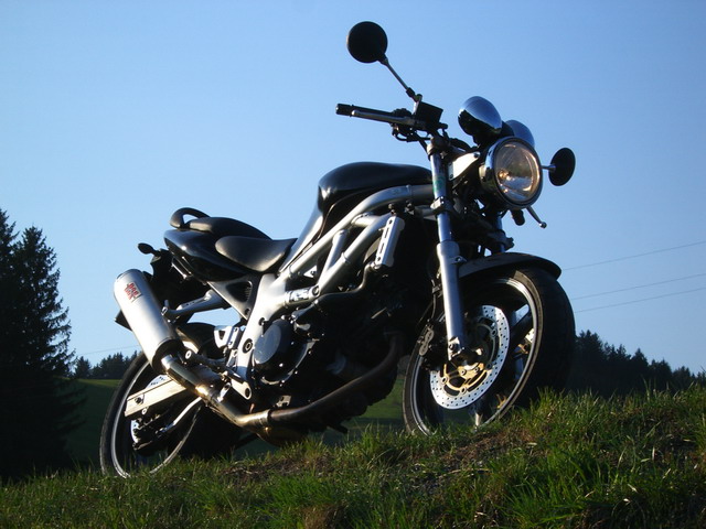CIMG5203gv.jpg