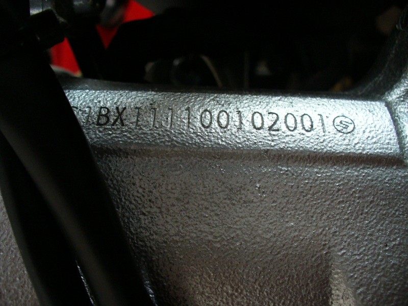 P1100600.JPG