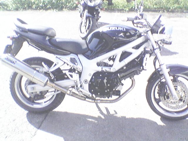 suzuki2.jpg