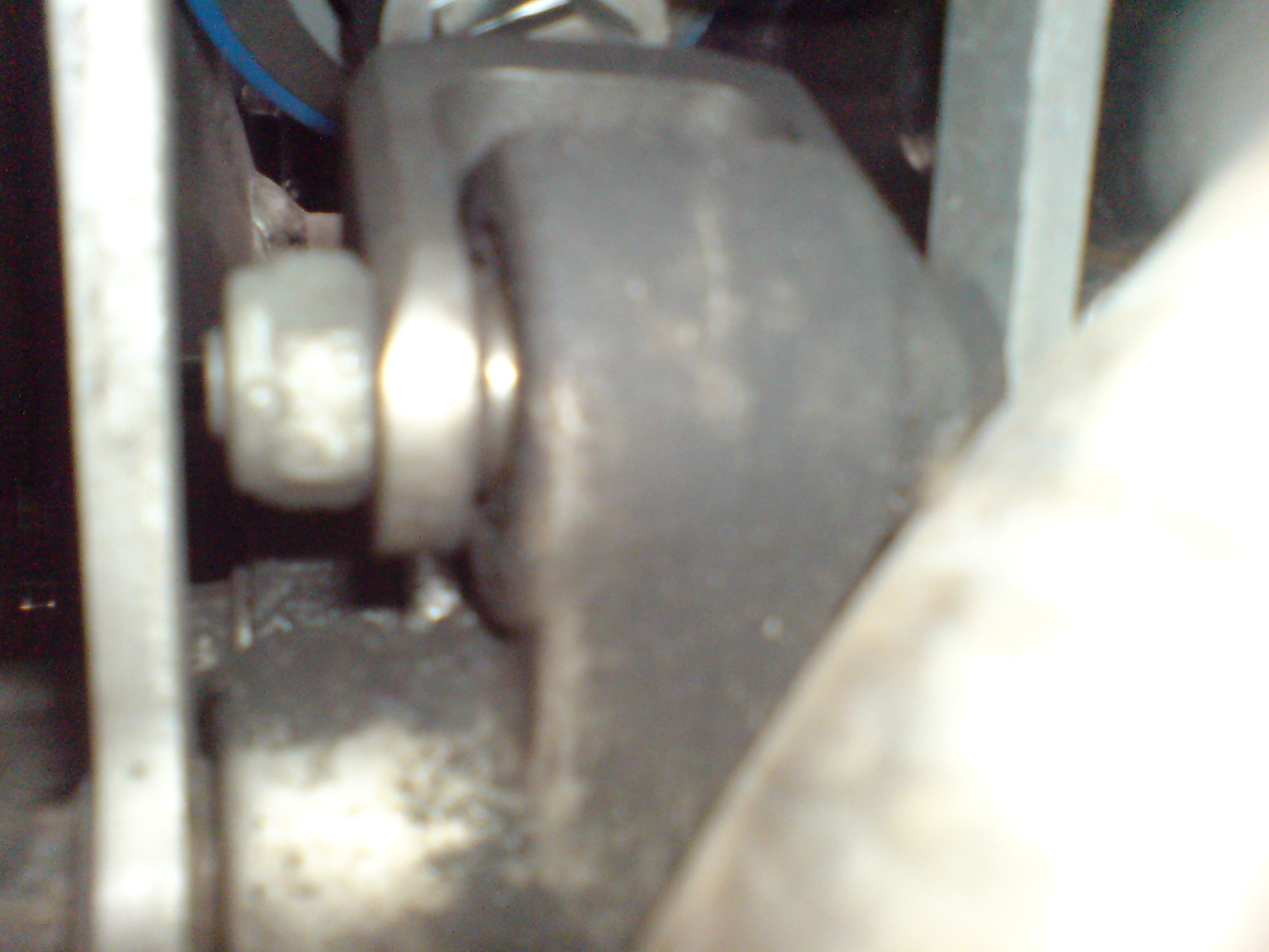 DSC00162.JPG