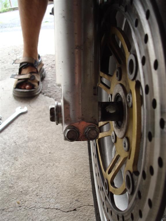 DSC01974 (Large).JPG