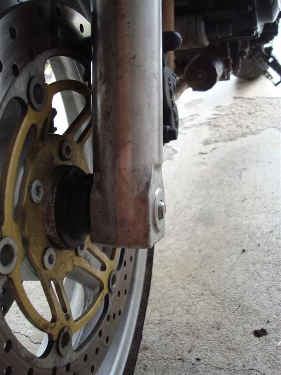 DSC01975 (Large).JPG