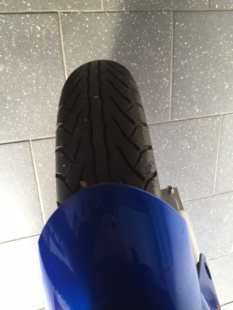 image11.jpeg
