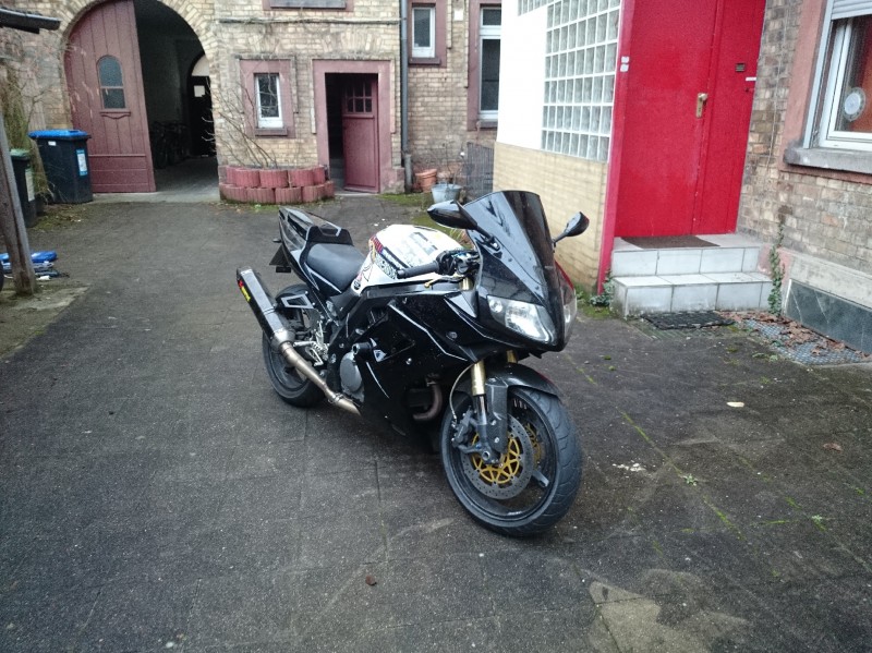 Ace SV650S Studentenpfusch.jpg
