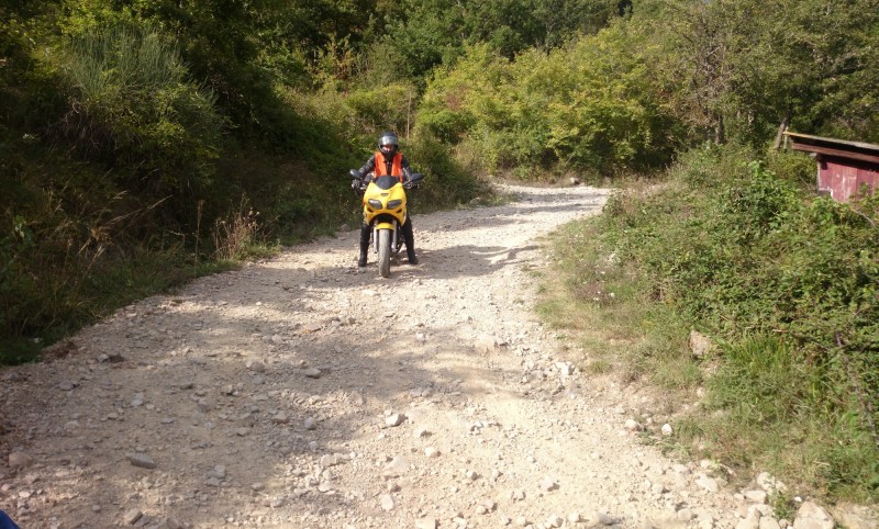 Italien 2015 Forum 002.jpg