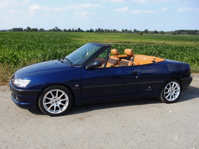 BILD0320klein.JPG
