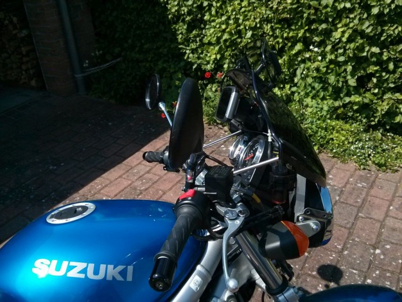suzi3.jpg