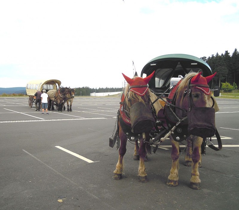 DSCN7602_1024x901.jpg (143.5 KiB) 10576 mal betrachtet DSCN7602_1024x901.jpg