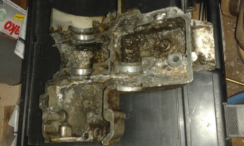 IMG-20161003-WA0005.jpeg