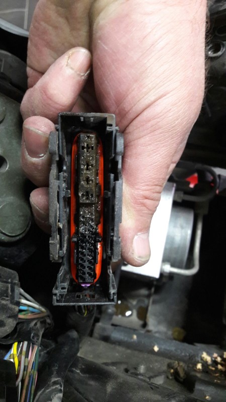 abs_stecker.jpg