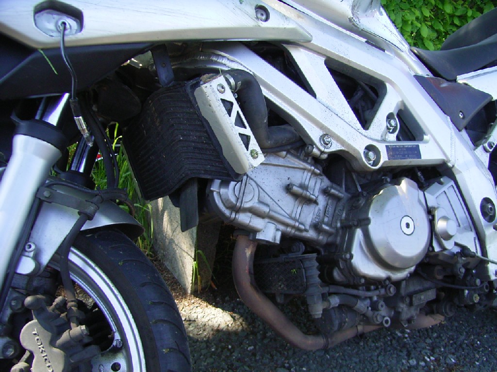 RIMG0272.jpg