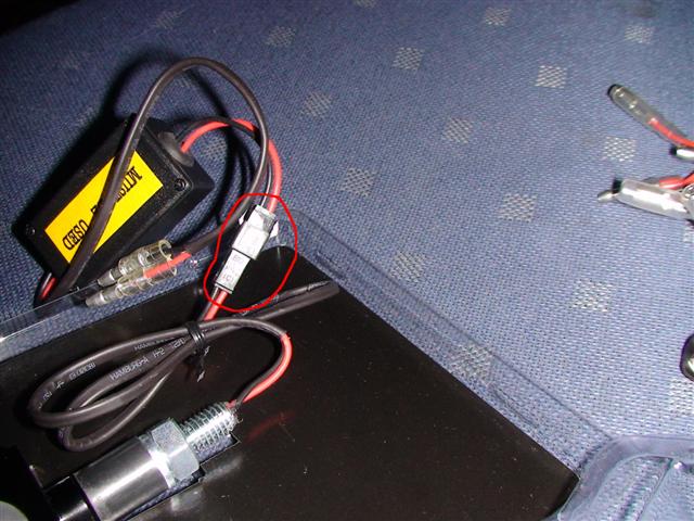 DSC01238 (Small).JPG