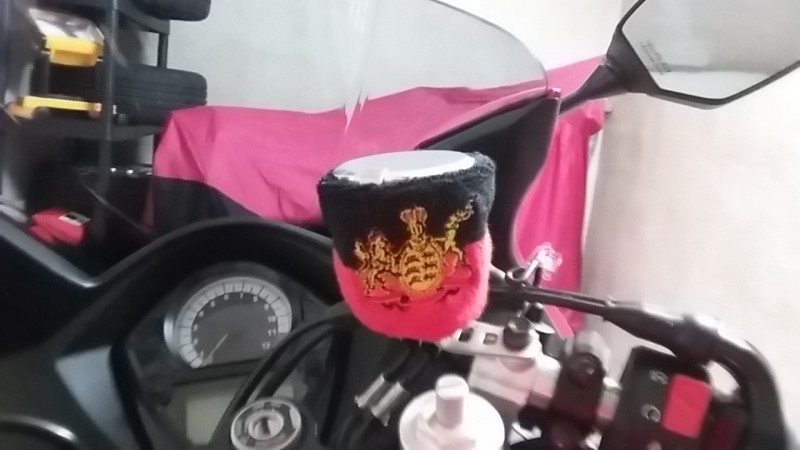 SV17_18.jpg (261.27 KiB) 4405 mal betrachtet SV17_18.jpg