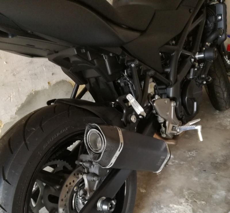 Bodis Exhaust4.jpg
