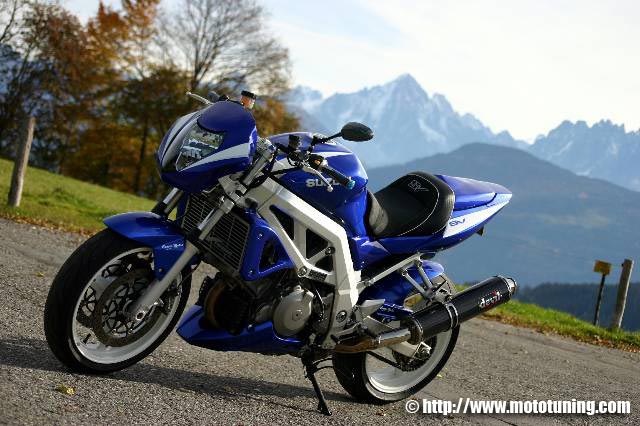 suzuki-sv-1000-olivier-img01.jpg