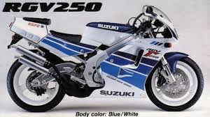 RGV250 bl.weiss.jpg