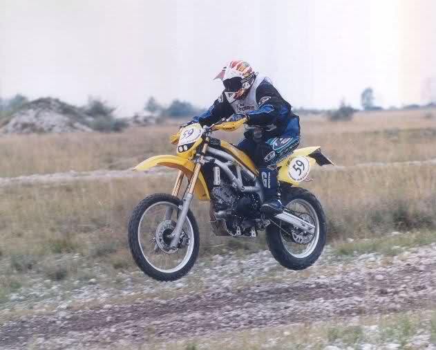 Stelzen-SV.jpg