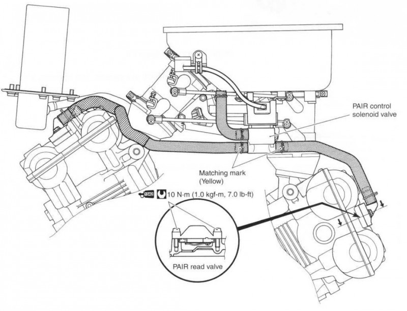Pair System (Large).jpg