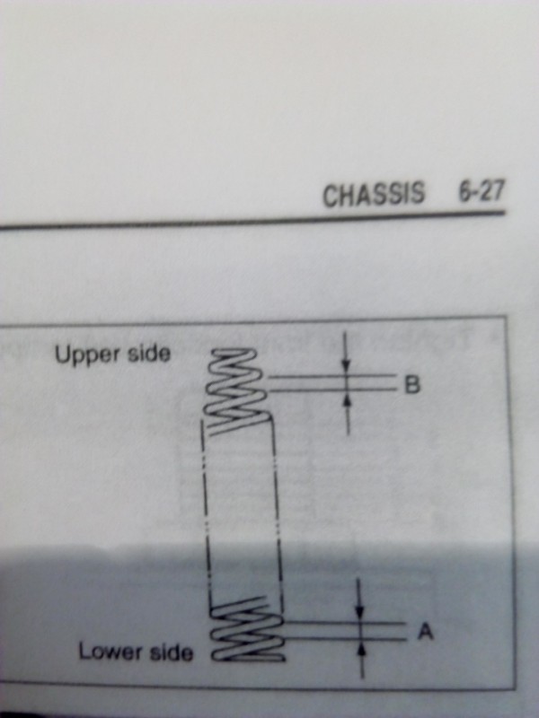 16 (Large).jpg