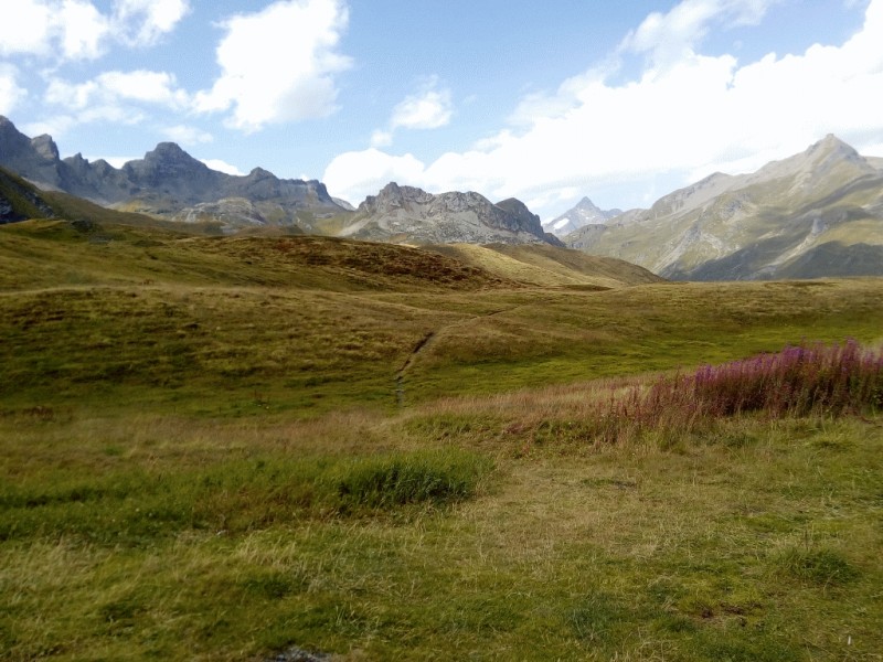 033-kl-St-Bernhard.jpg