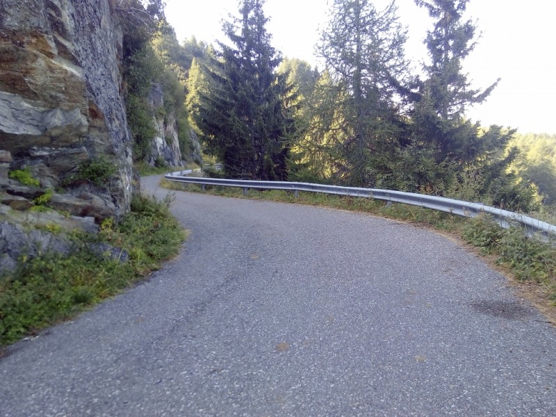 101-Guspessa.jpg