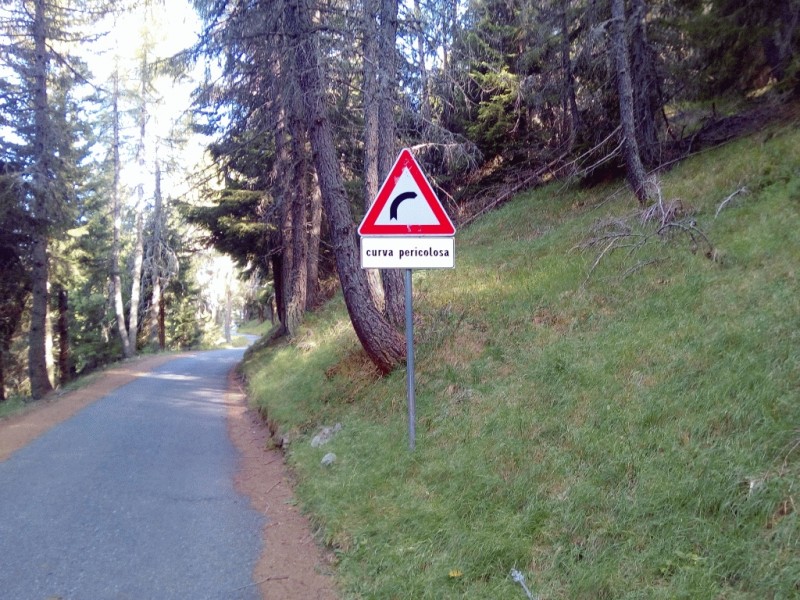 102-Kurva.jpg