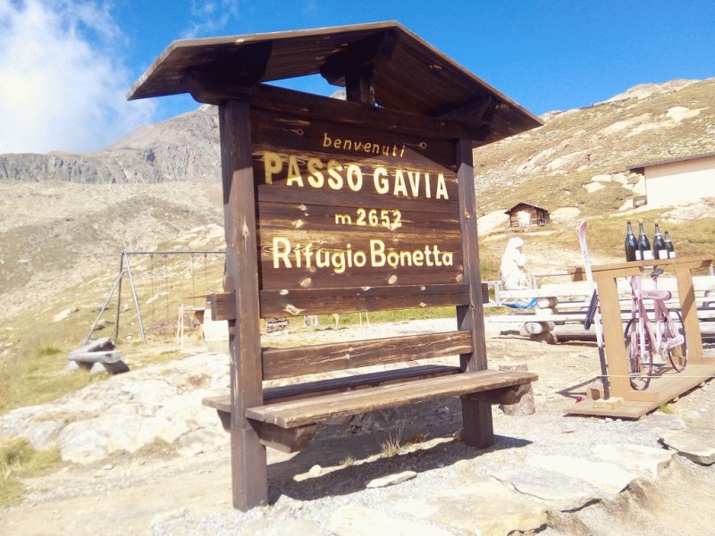 103-Gavia.jpg