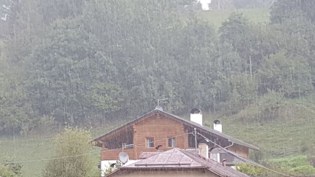 Nichts als Regen.jpg