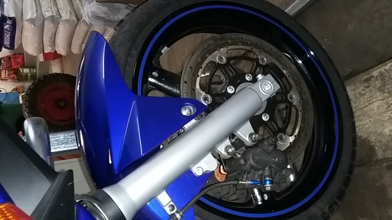 SV17_53.jpg