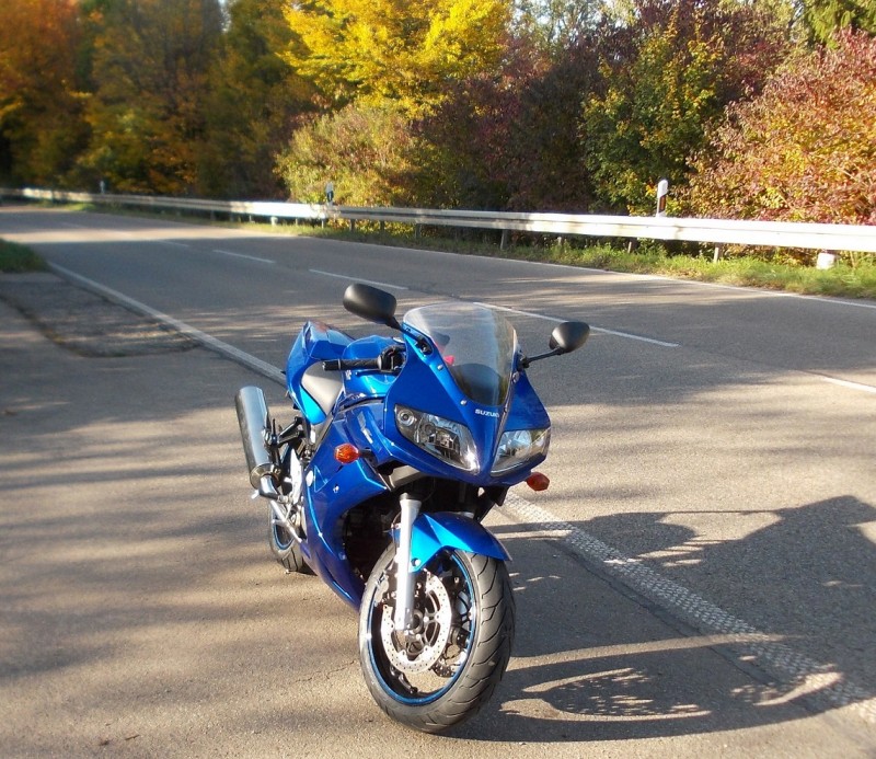 SV17_64.jpg
