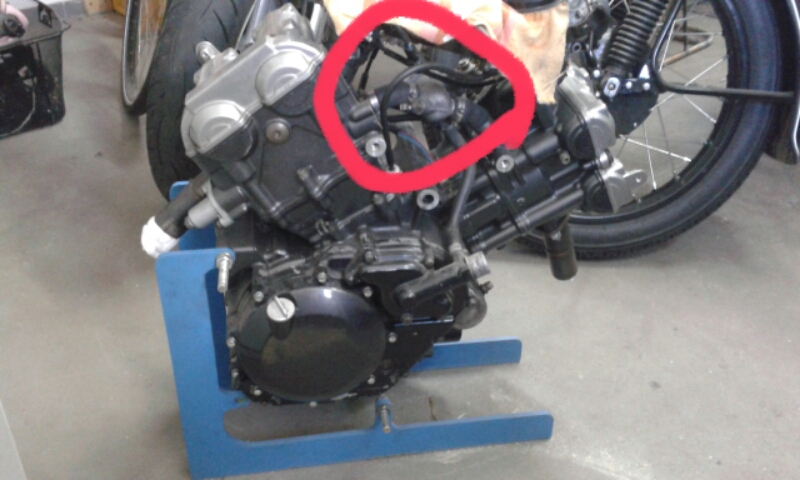 2018-02-09 08.15.35.jpg