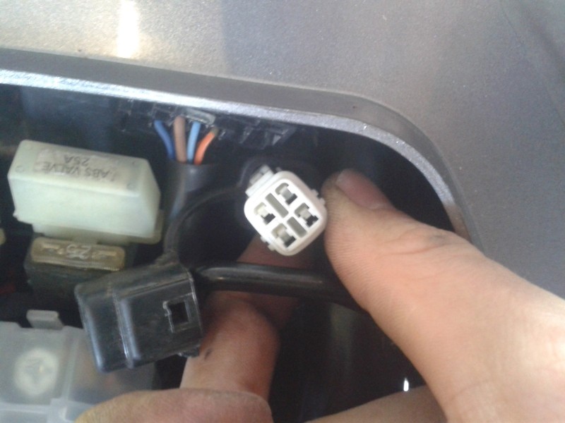 Stecker Weiss.jpg