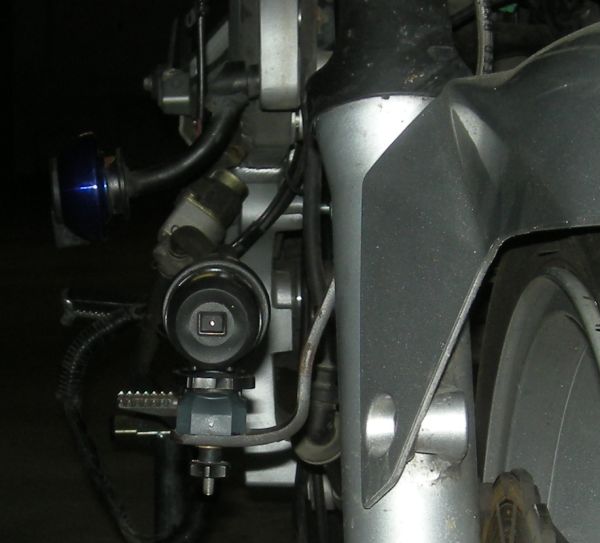 Halter4.4.jpg