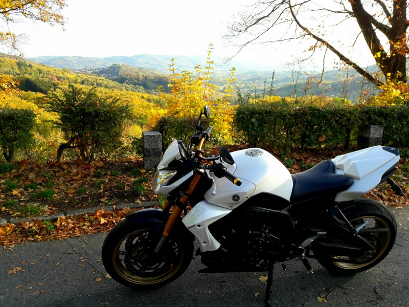 fz8.jpg