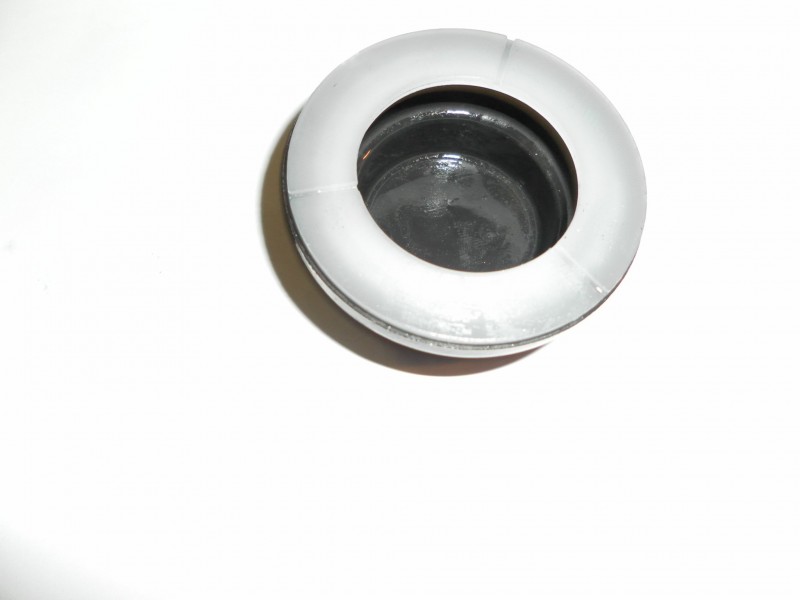 Membrane 021.JPG