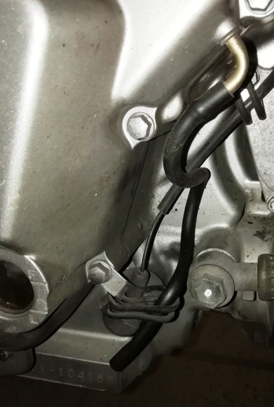 suzuki schlauch kupplungsgehäuse.jpg