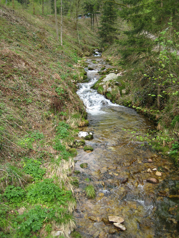 IMG_1558.jpg