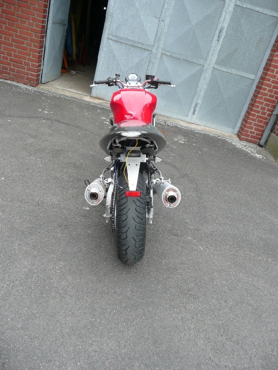 SV hh.jpg