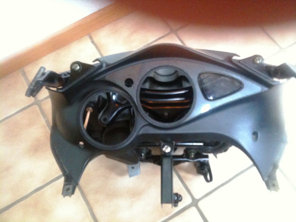 sv650_Altes Gewih.jpg