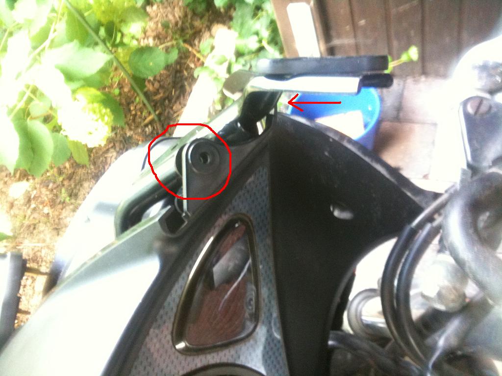 sv650_Neues Geweih2.jpg