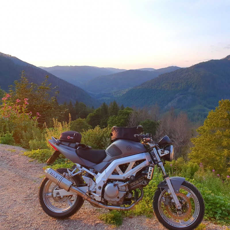 20210820_195653.jpg (916.46 KiB) 4509 mal betrachtet 20210820_195653.jpg