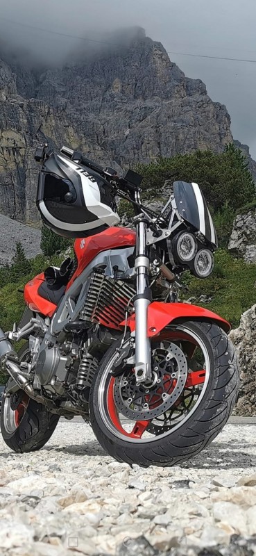 SV1000_Dolos.jpg