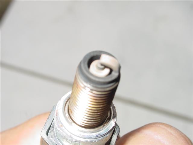 DSC01426 (Small).JPG