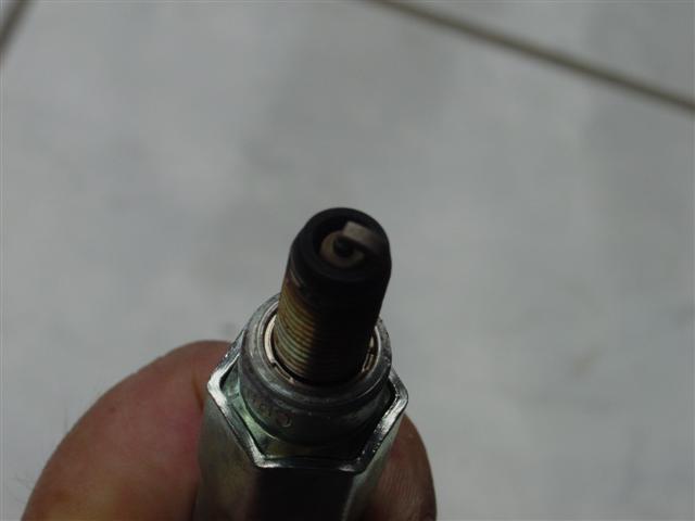 DSC01428 (Small).JPG