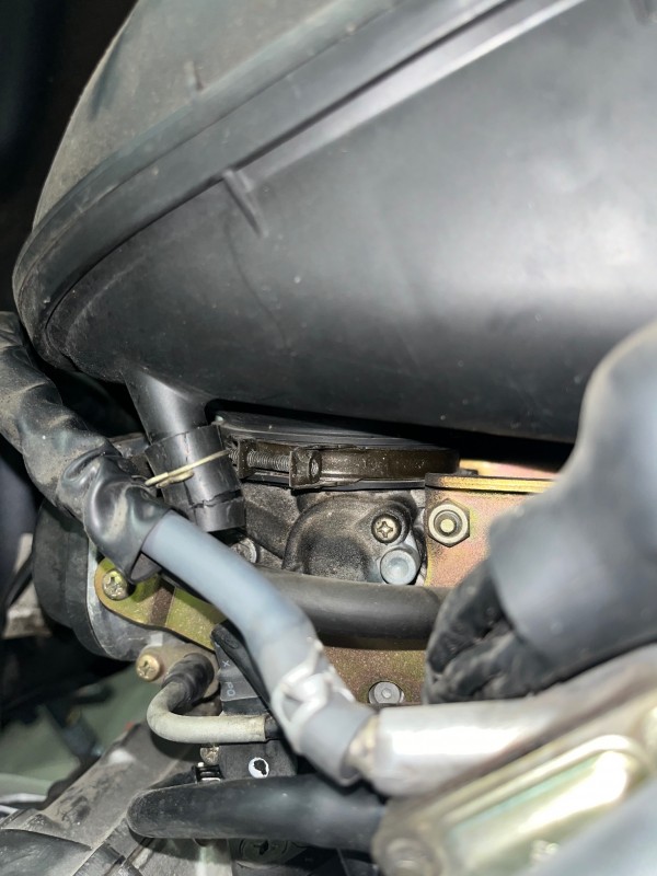 IMG_4517.jpeg (829.65 KiB) 87 mal betrachtet IMG_4517.jpeg