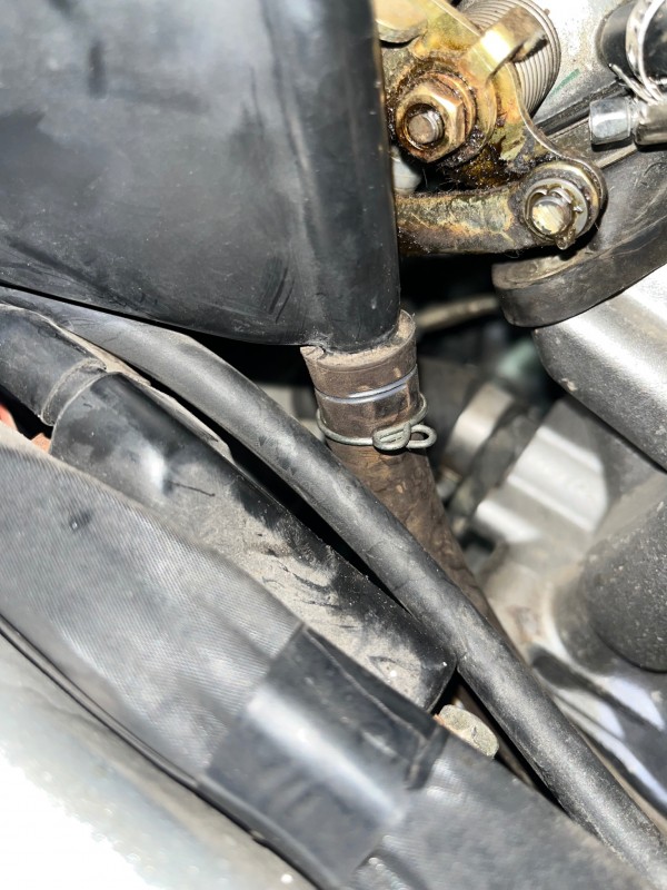 IMG_4519.jpeg (1.01 MiB) 619 mal betrachtet IMG_4519.jpeg