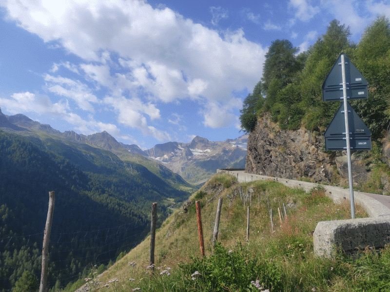 Tag5-4.jpg