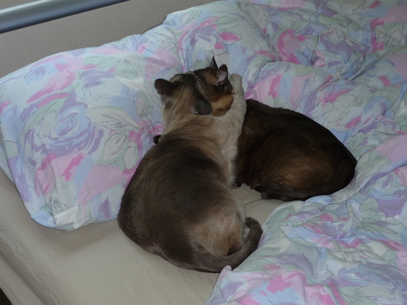 P1000443.JPG